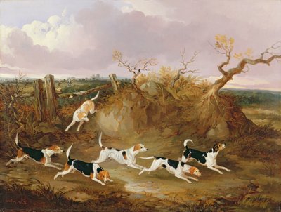 Beagles in voller Jagd, 1845 von John Dalby